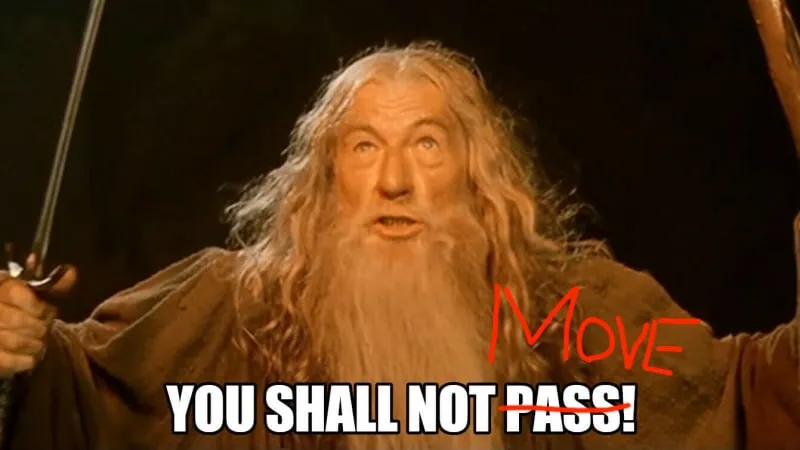You should not pass!