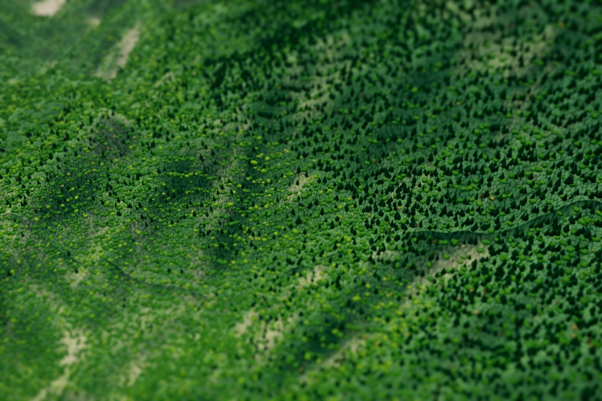 Dense mountain forest on the Pingtung–Taitung border in 2007, before Typhoon Morakot